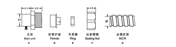 防爆挠性管接头