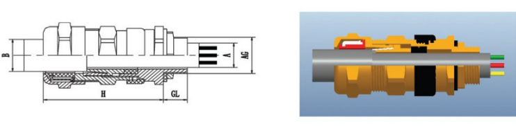 双密封铠装防爆格兰头