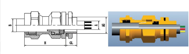 双密封铠装防爆填料函