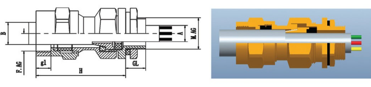 接管式铠装防爆电缆格兰头