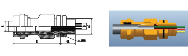 不锈钢铠装防爆格兰头