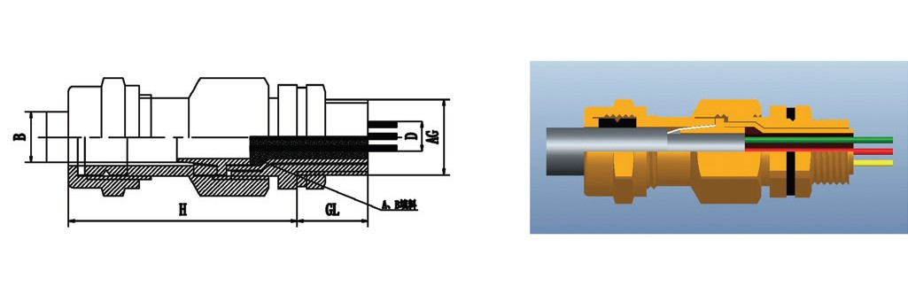 黄铜镀镍铠装防爆格兰头